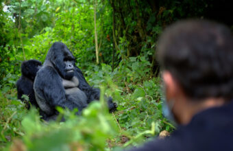 Mgahinga Gorilla National Park