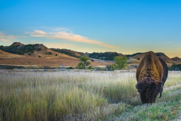 The Best Midwest National Park Road Trips