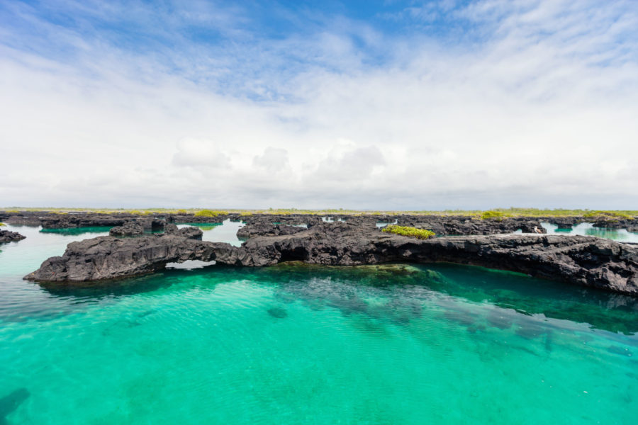 010 Los Tuneles Galapagos