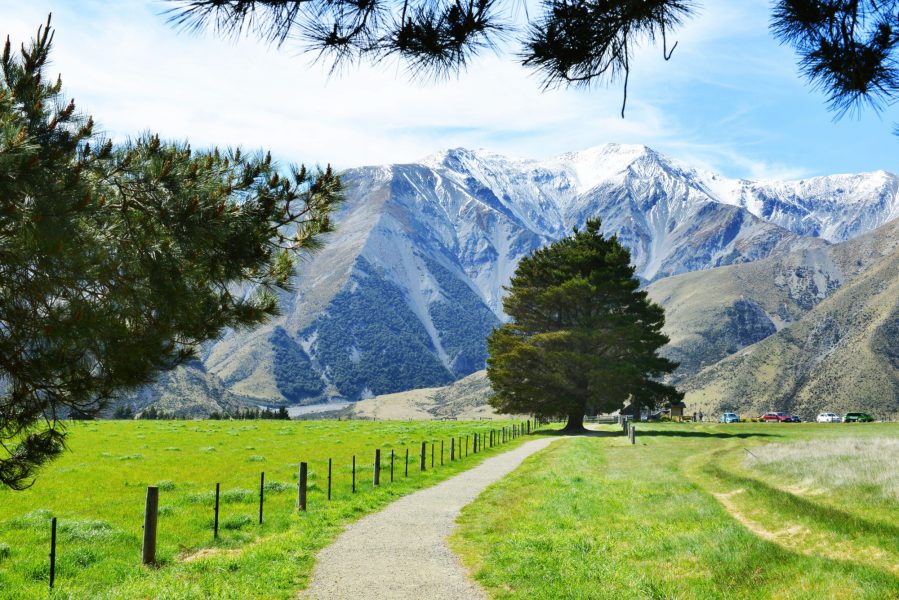 Arthurs Pass Castle Hill
