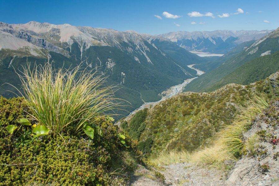 Arthurs Pass valley view