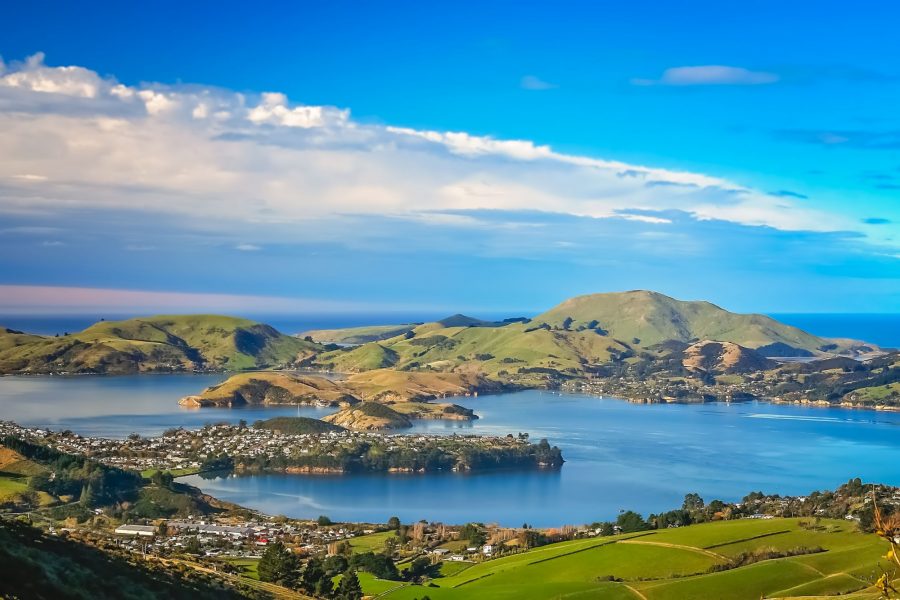 Dunedin view of town and bay as seen from the hills above