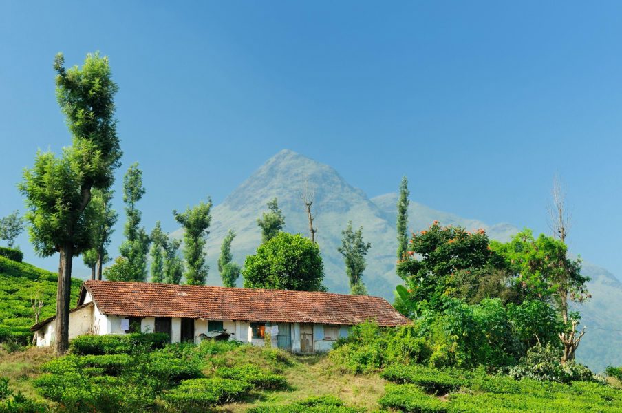 India Kaerala Wayanad