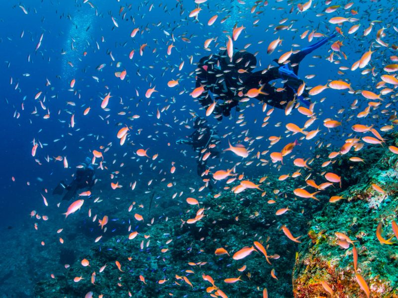 Japan Okinawa scubadiving2
