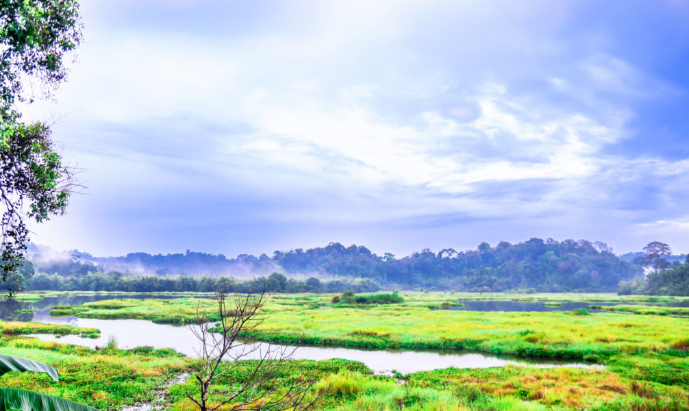Vietnam-Cat-Tien-NP