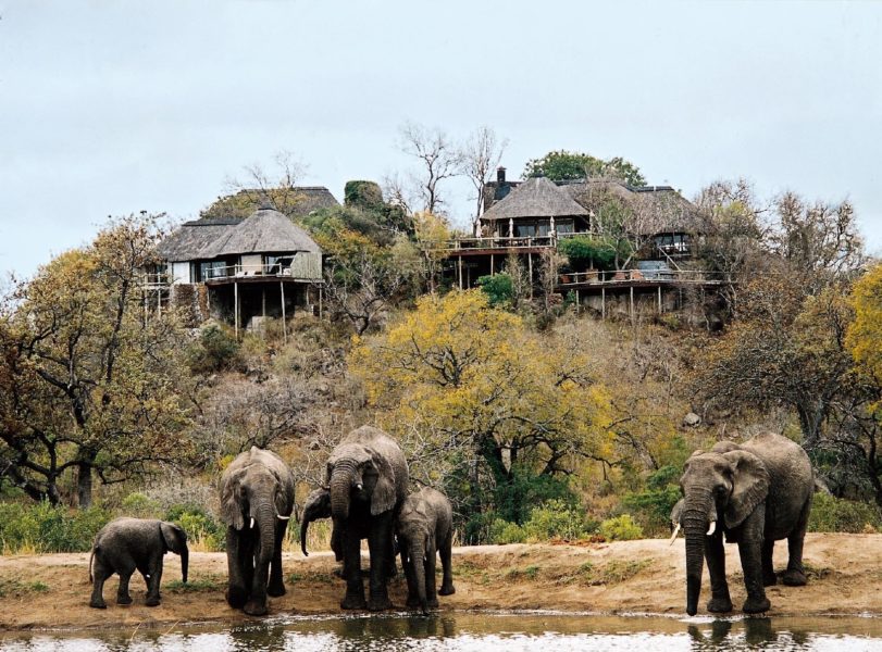 Lhills_elephant_1