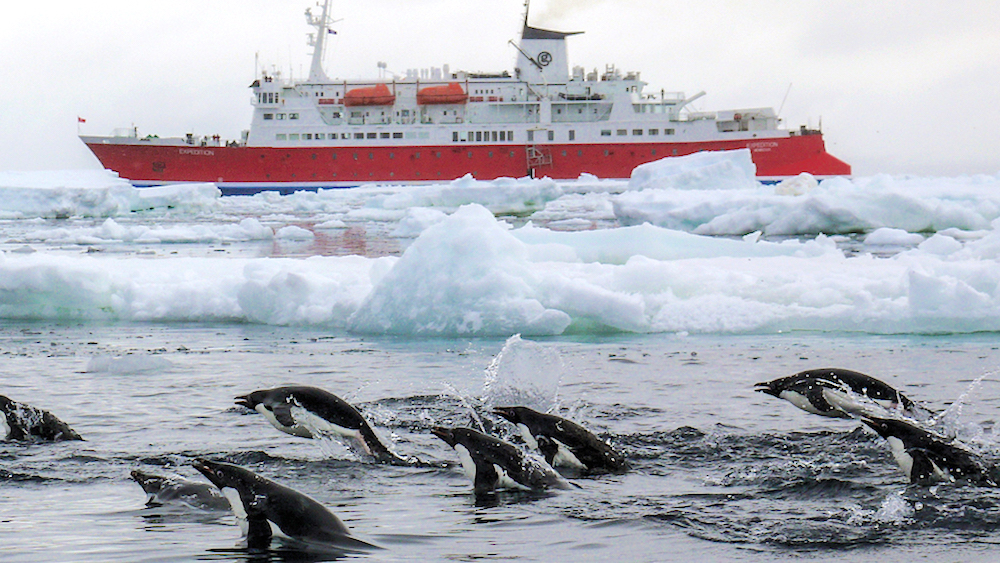 Polar Circle Crossing