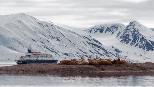 South Shetland & Antarctic Peninsula