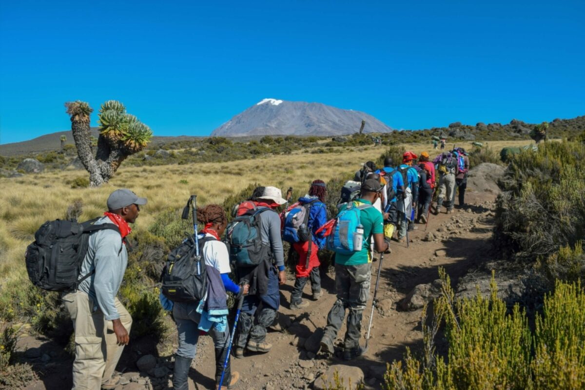 Hiking Mt Kilimanjaro's Rongai Route