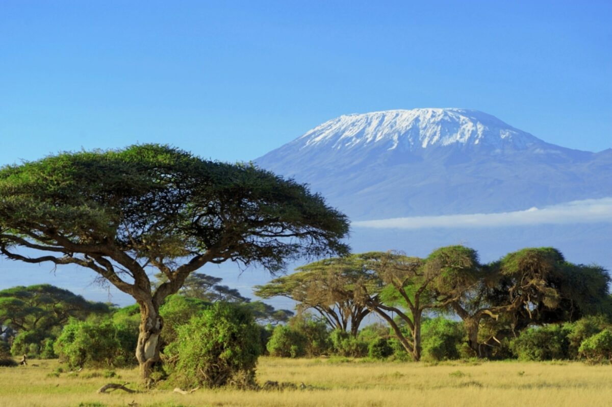 Culture and coffee in Arusha