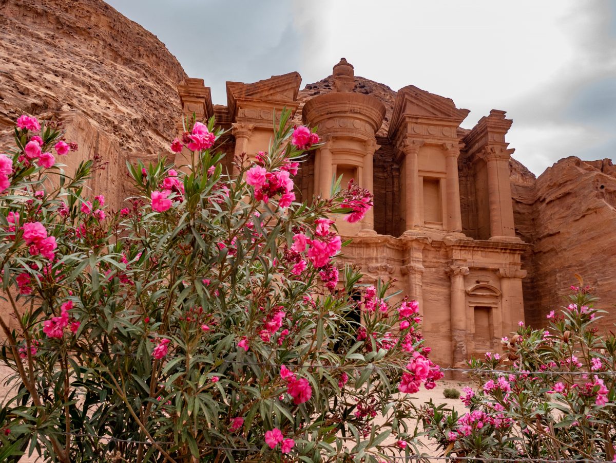 Jordan_petra_flowers