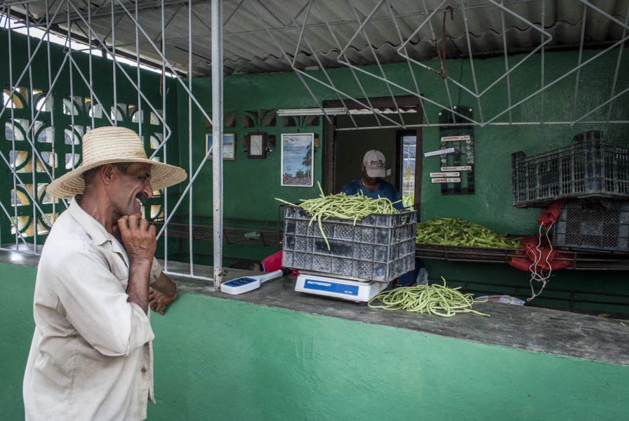 026-Odonnell_Cuba_Bayamo_Farm_Food