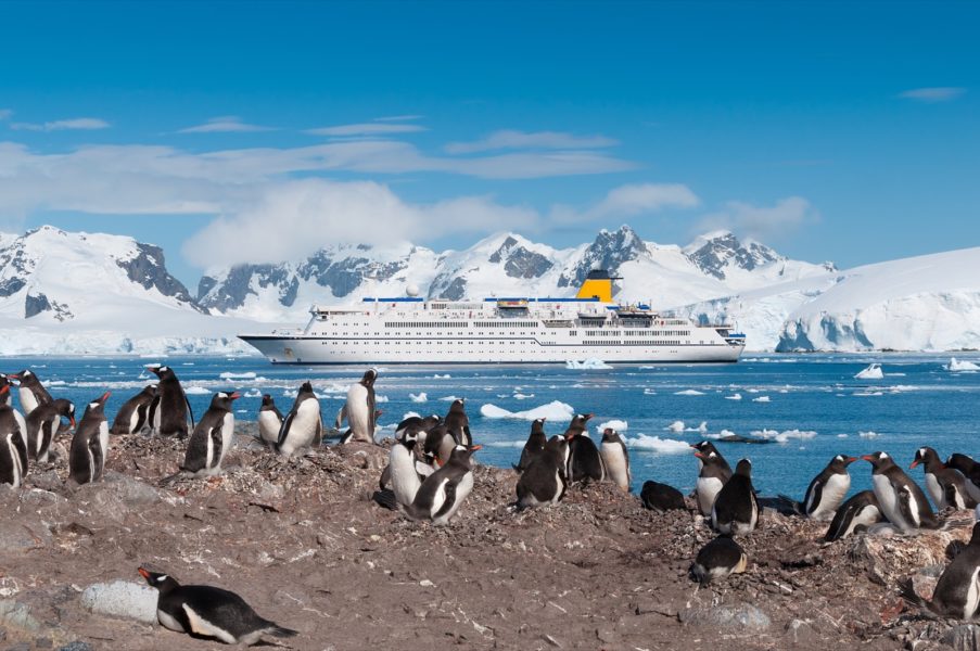 030-Antarctica-123Rf-27123397_Xl