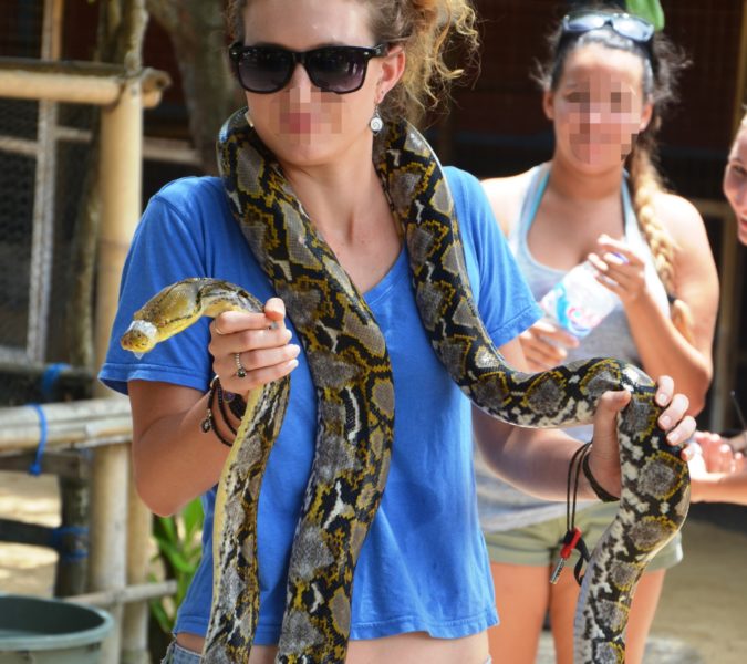 017-Photo-Prop-Snake-©-Born-Free-Foundation