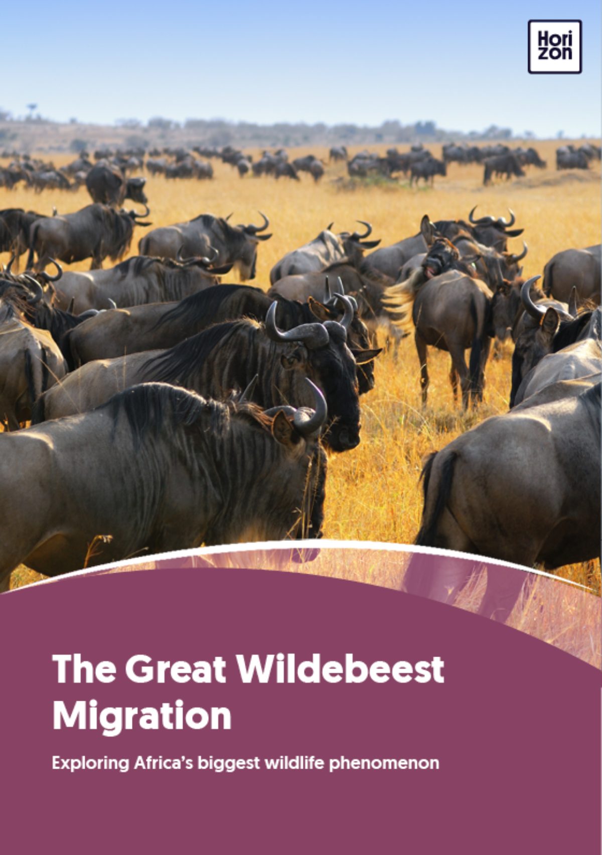 The Great Wildebeest Migration