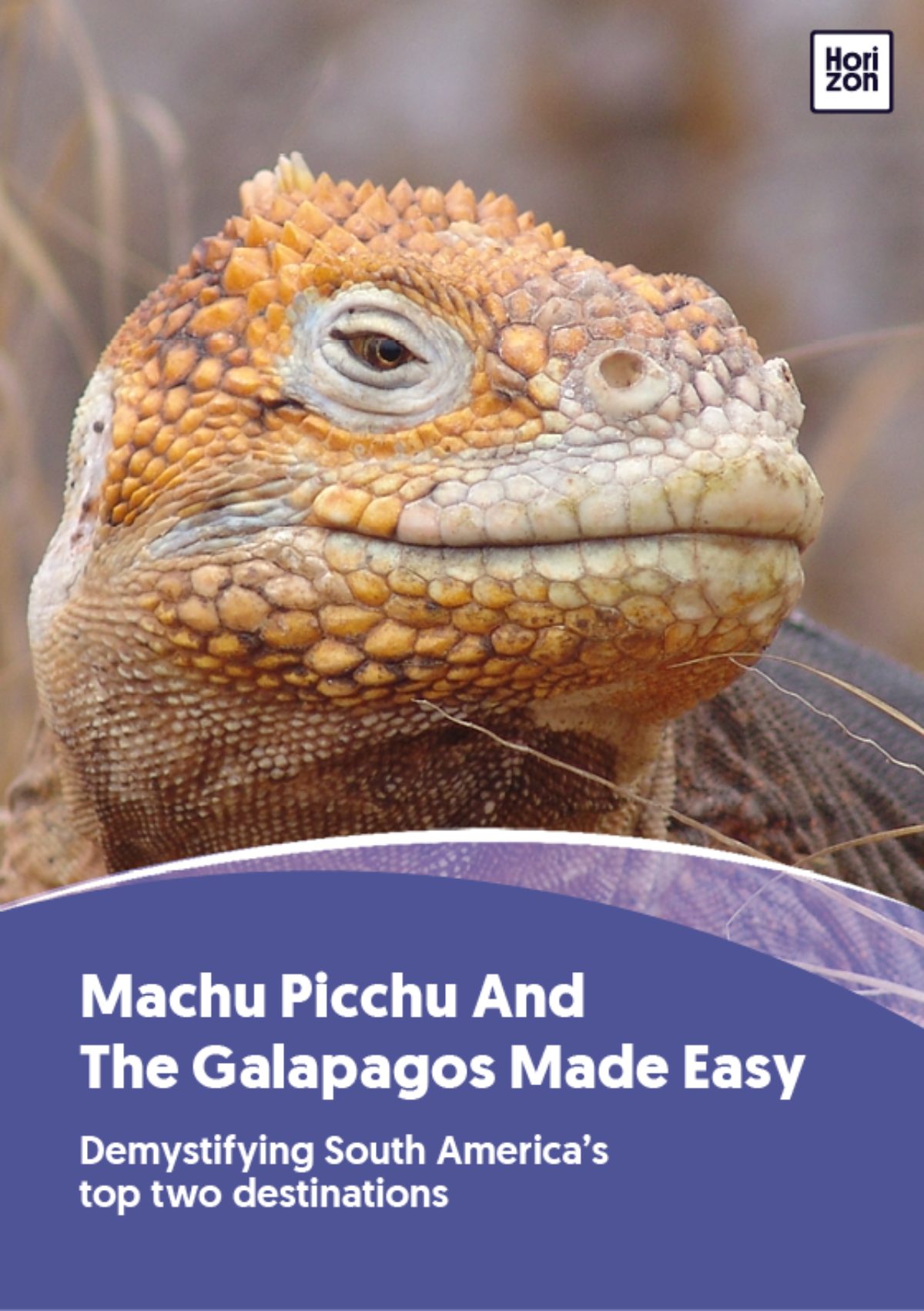 Machu Picchu And The Galapagos Made Easy