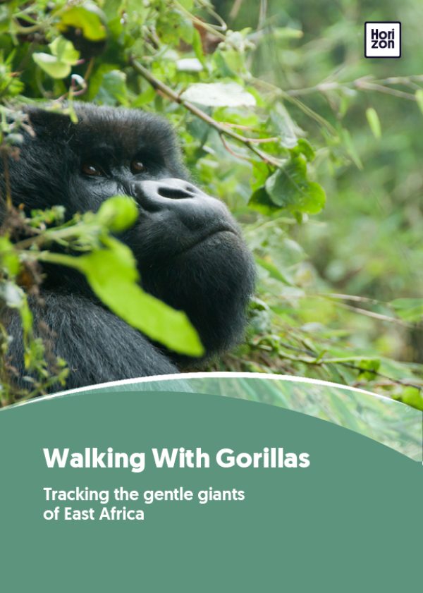 Walking With Gorillas