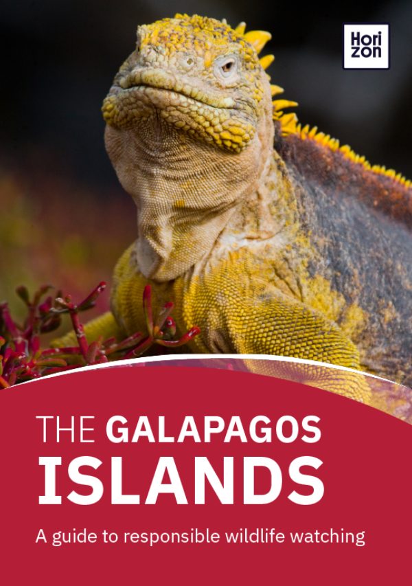 The Galapagos Islands