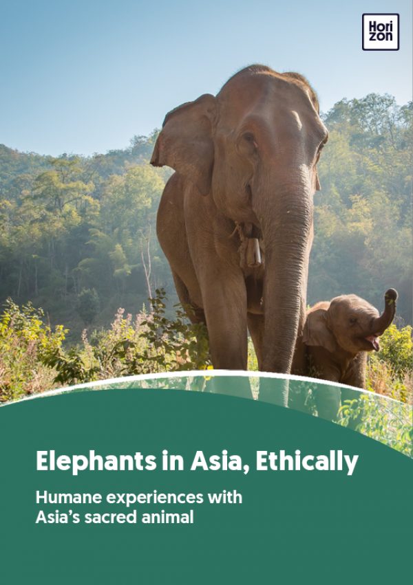 what is a mahout horizon guides mahout