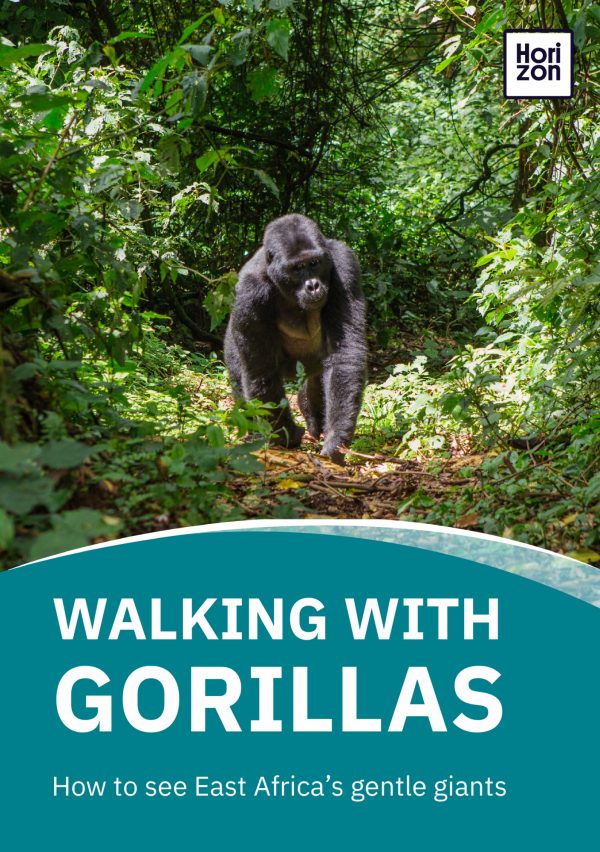 Walking With Gorillas