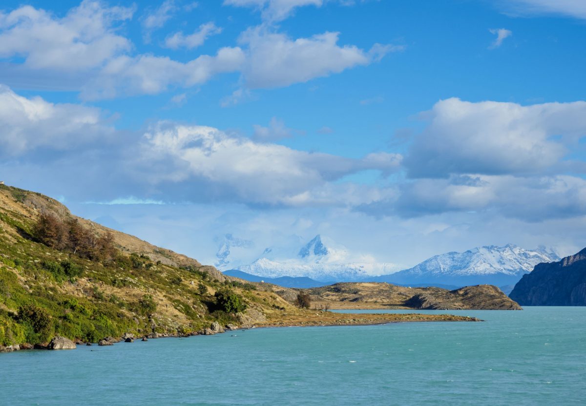 Get a taste of El Calafate