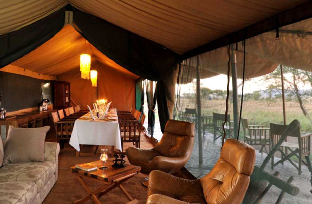 Luxury Serengeti & Crater Safari