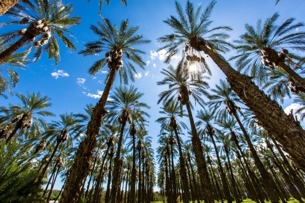 Unwind in exclusive Palm Springs