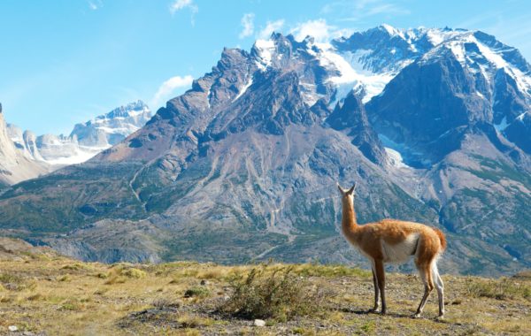 South America