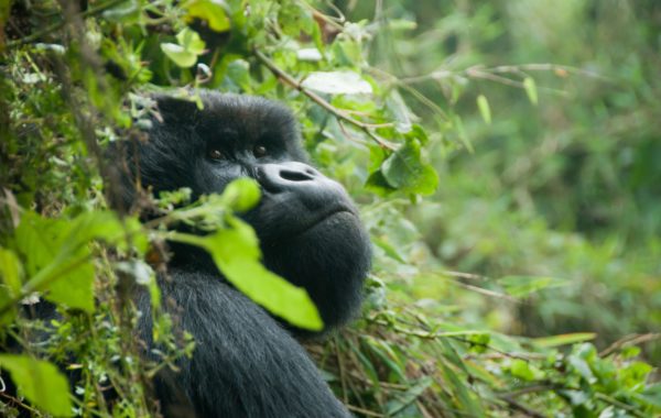 Rwanda