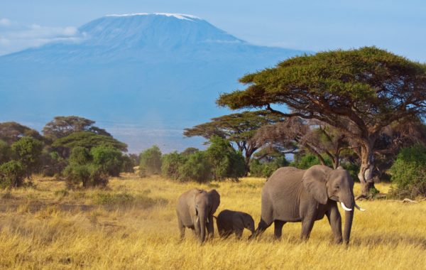 East Africa