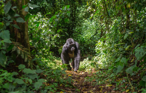Uganda