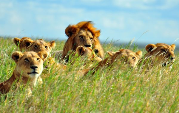 Tanzania