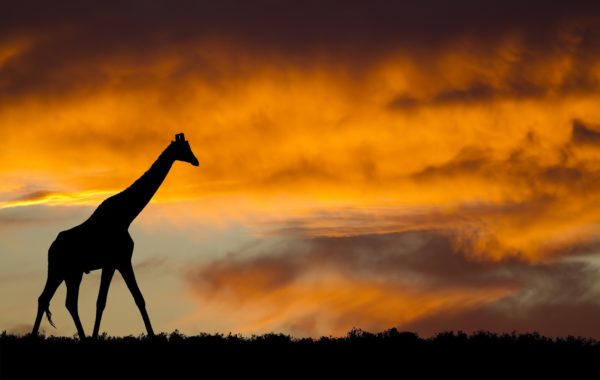 Southern Africa
