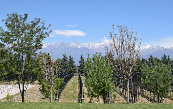 Uco Valley