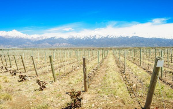 Uco Valley