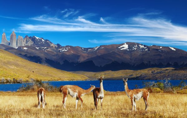 Torres del Paine National Park