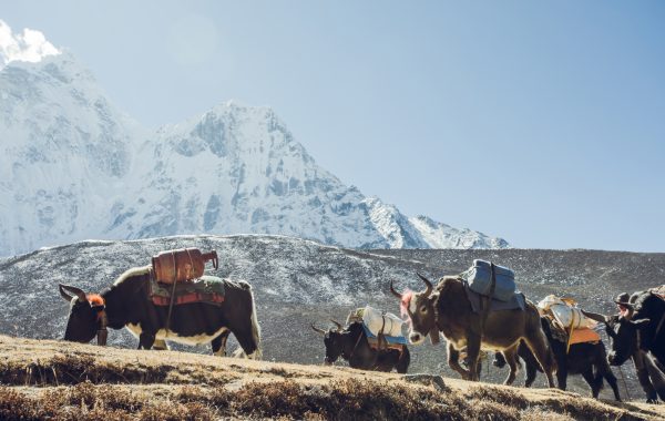 Everest region
