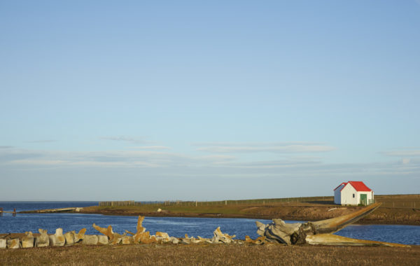 Falkland Islands