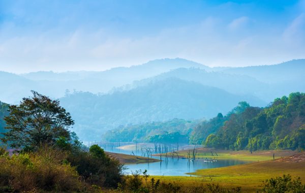 Periyar National Park