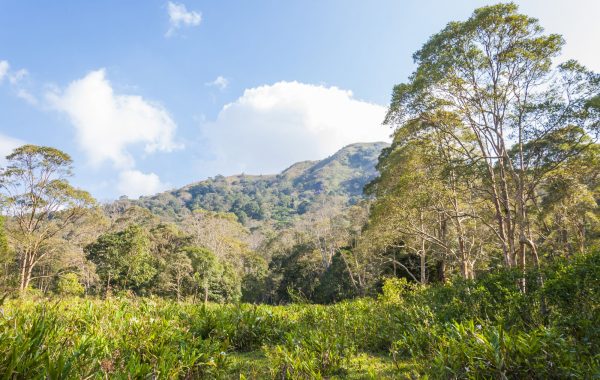 Periyar National Park