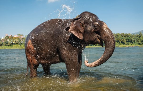 Periyar National Park