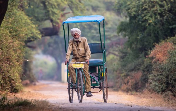 Ranthambore National Park