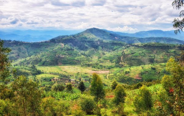 Nyungwe National Park