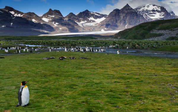 South Georgia