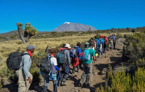 Mt. Kilimanjaro