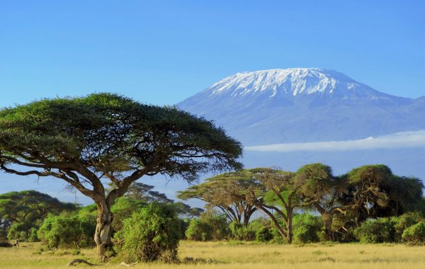 Mt. Kilimanjaro