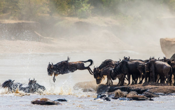 Tanzania