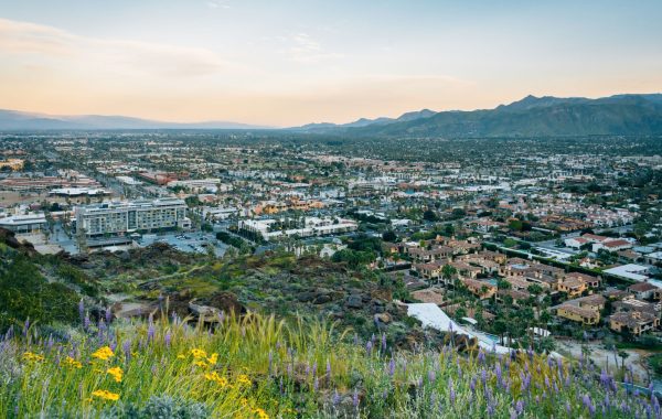 Palm Springs