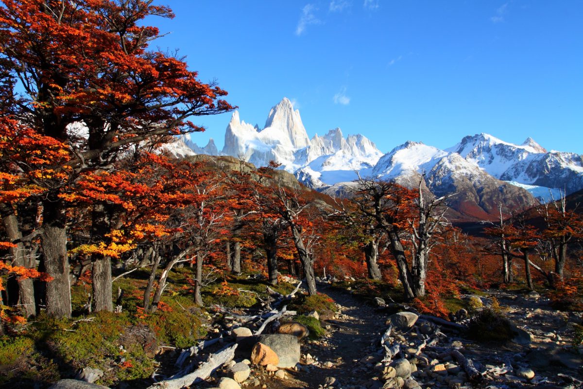 Argentina_Patagonia