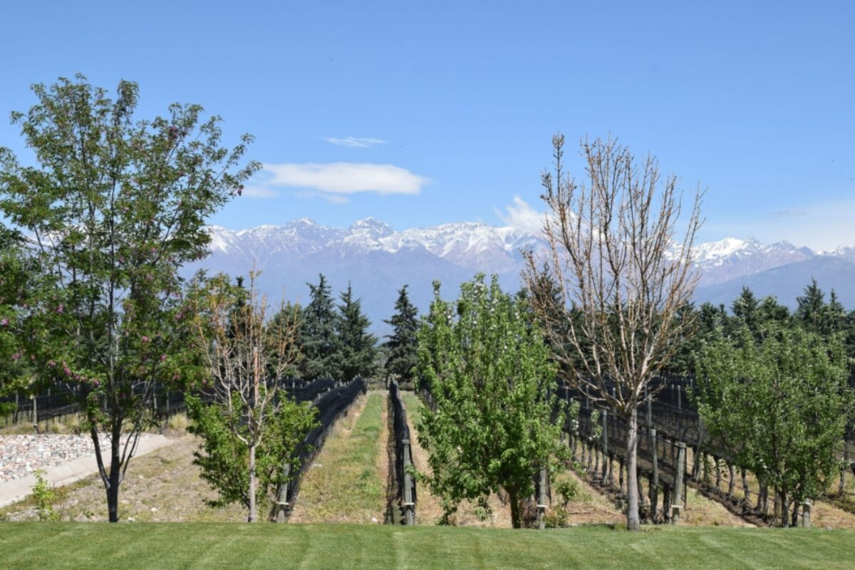 Argentina valledeuco